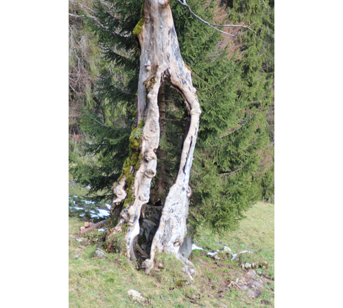 November 2012 im Allgäu (2)